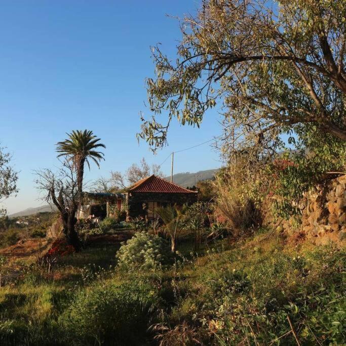 Casita En El Campo Con Vista Al Oceano Tijarafe