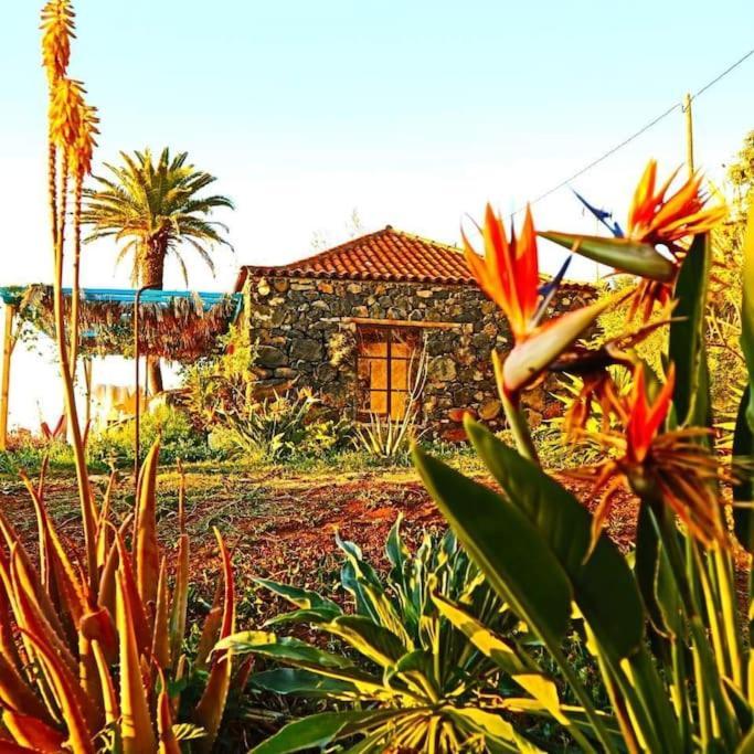 Casita En El Campo Con Vista Al Oceano * Tijarafe