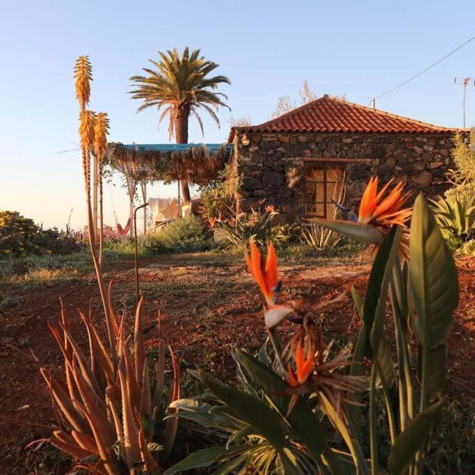 Casita En El Campo Con Vista Al Oceano Chalet *