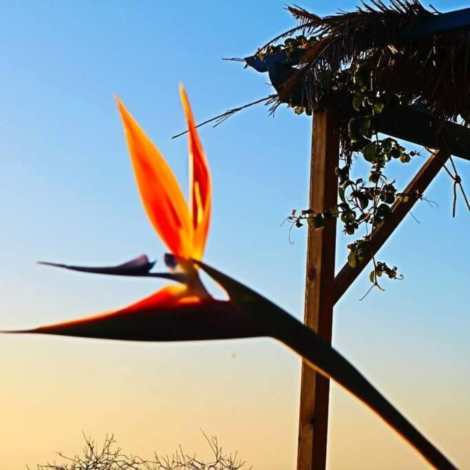 Casita En El Campo Con Vista Al Oceano