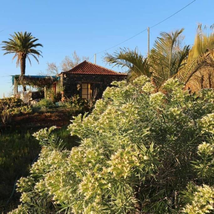 Casita En El Campo Con Vista Al Oceano * Tijarafe