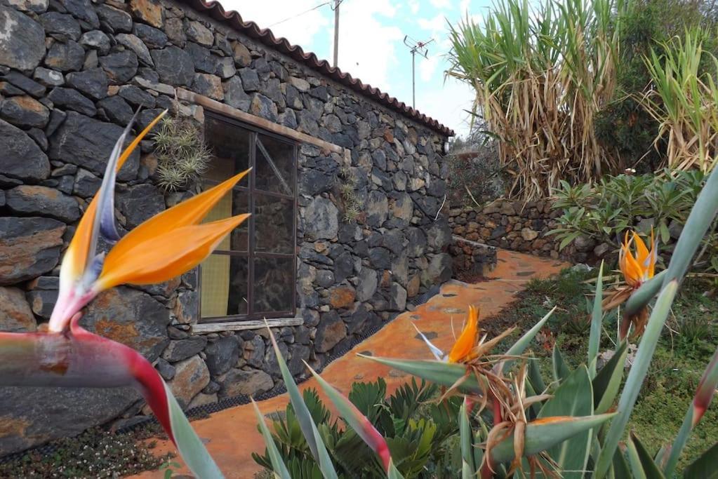Chalé Casita En El Campo Con Vista Al Oceano Tijarafe